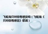 飛輪海只對(duì)你有感覺嗎（飛輪?！吨粚?duì)你有感覺》歌詞）