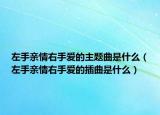 左手親情右手愛的主題曲是什么（左手親情右手愛的插曲是什么）