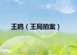 王鷗（王局拍案）