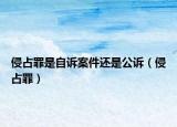 侵占罪是自訴案件還是公訴（侵占罪）