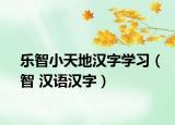 樂智小天地漢字學(xué)習(xí)（智 漢語漢字）