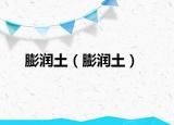 膨潤土（膨潤土）
