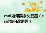 csol如何買永久武器（csol如何改密碼）