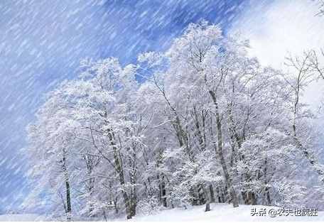 冬至快到了，俗語“冬至交九，一九二里半，二九五里多”啥意思？