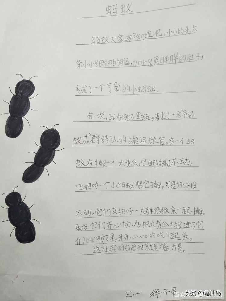 部編版三年級(jí)語文下冊(cè)自制昆蟲備忘錄