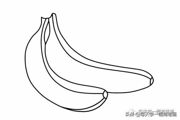 每天學(xué)一幅簡(jiǎn)筆畫--兩個(gè)香蕉簡(jiǎn)筆畫步驟圖片大全