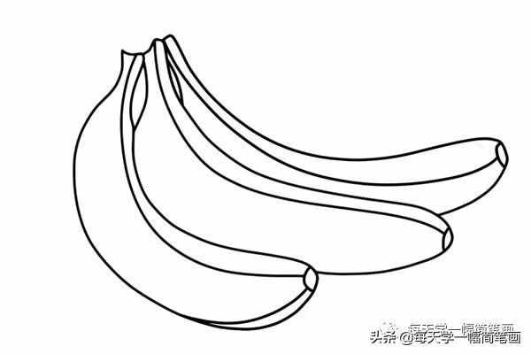 每天學(xué)一幅簡(jiǎn)筆畫--兩個(gè)香蕉簡(jiǎn)筆畫步驟圖片大全