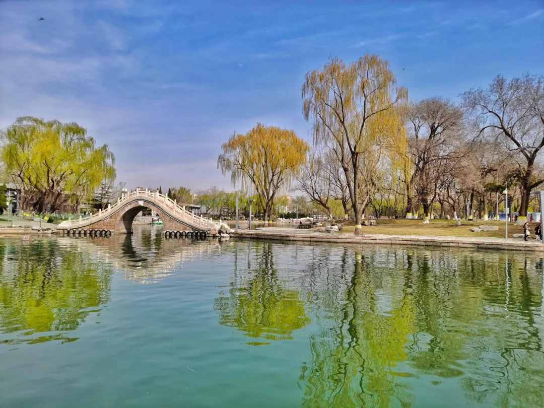 清明踏青的親子英文，踏青怎么說？教寶寶支帳篷、掛吊床、鋪餐墊