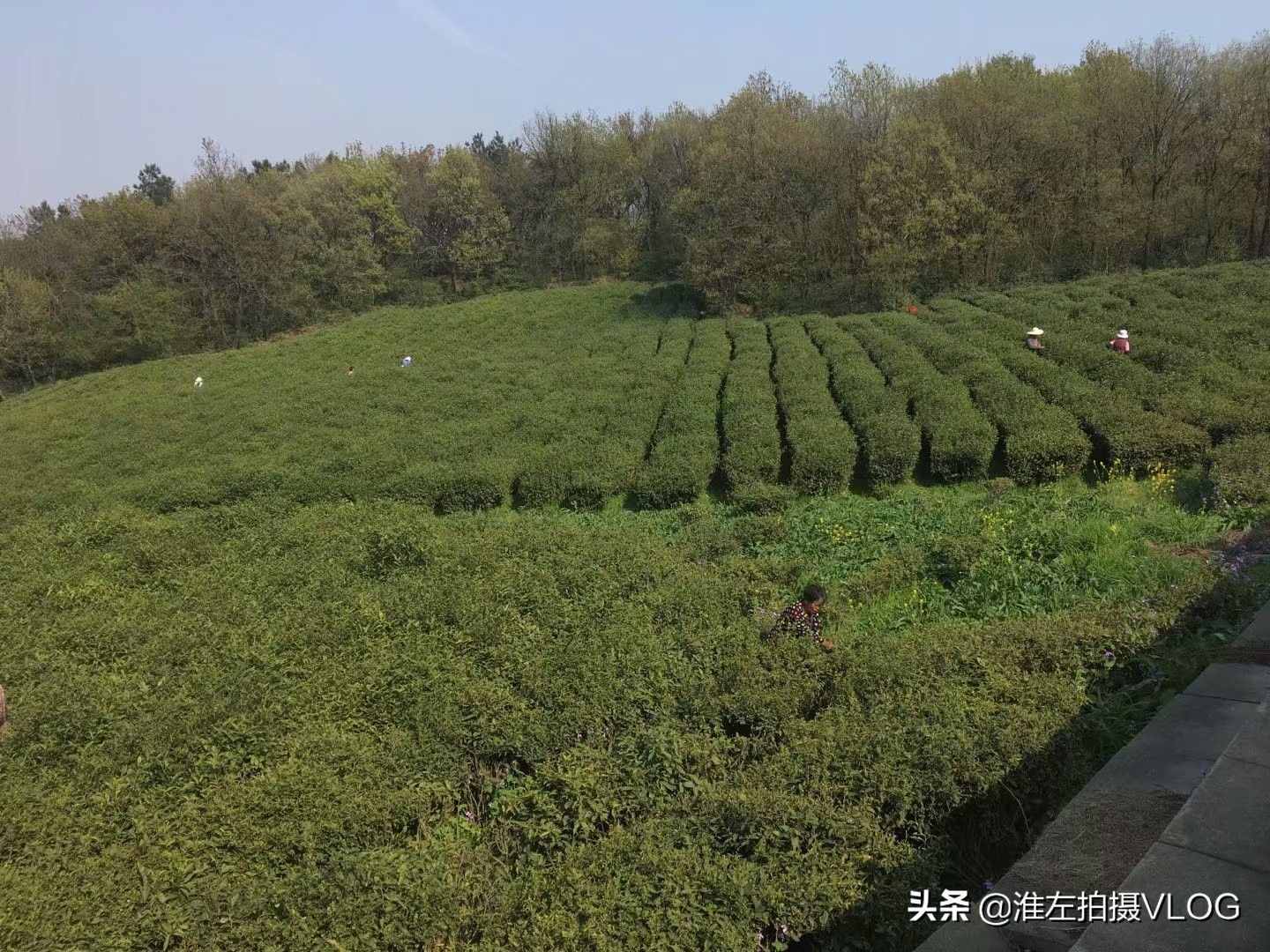 江南福地，常來(lái)常熟：虞山-尚湖風(fēng)景區(qū)游后感