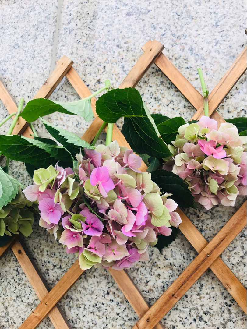 想要花期永駐？干花的制作方法，必須要掌握