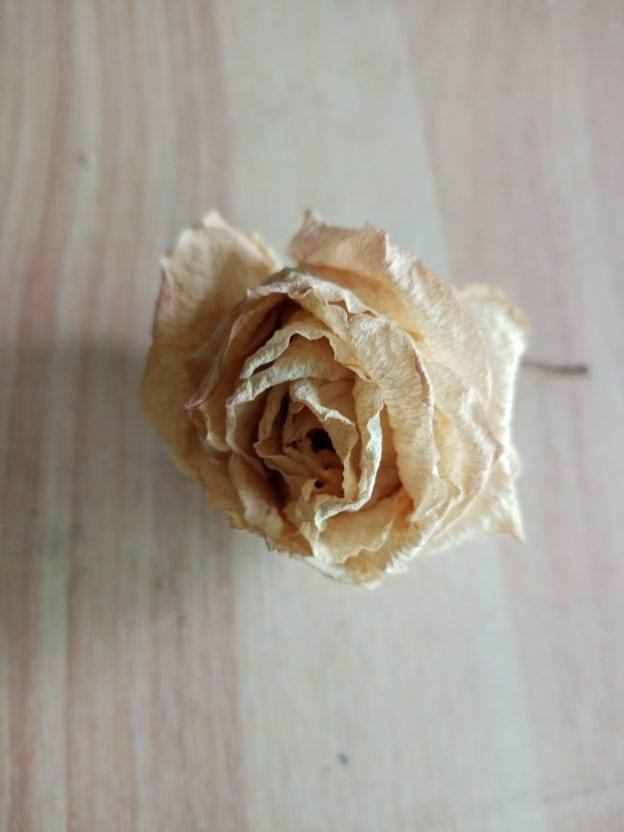 想要花期永駐？干花的制作方法，必須要掌握
