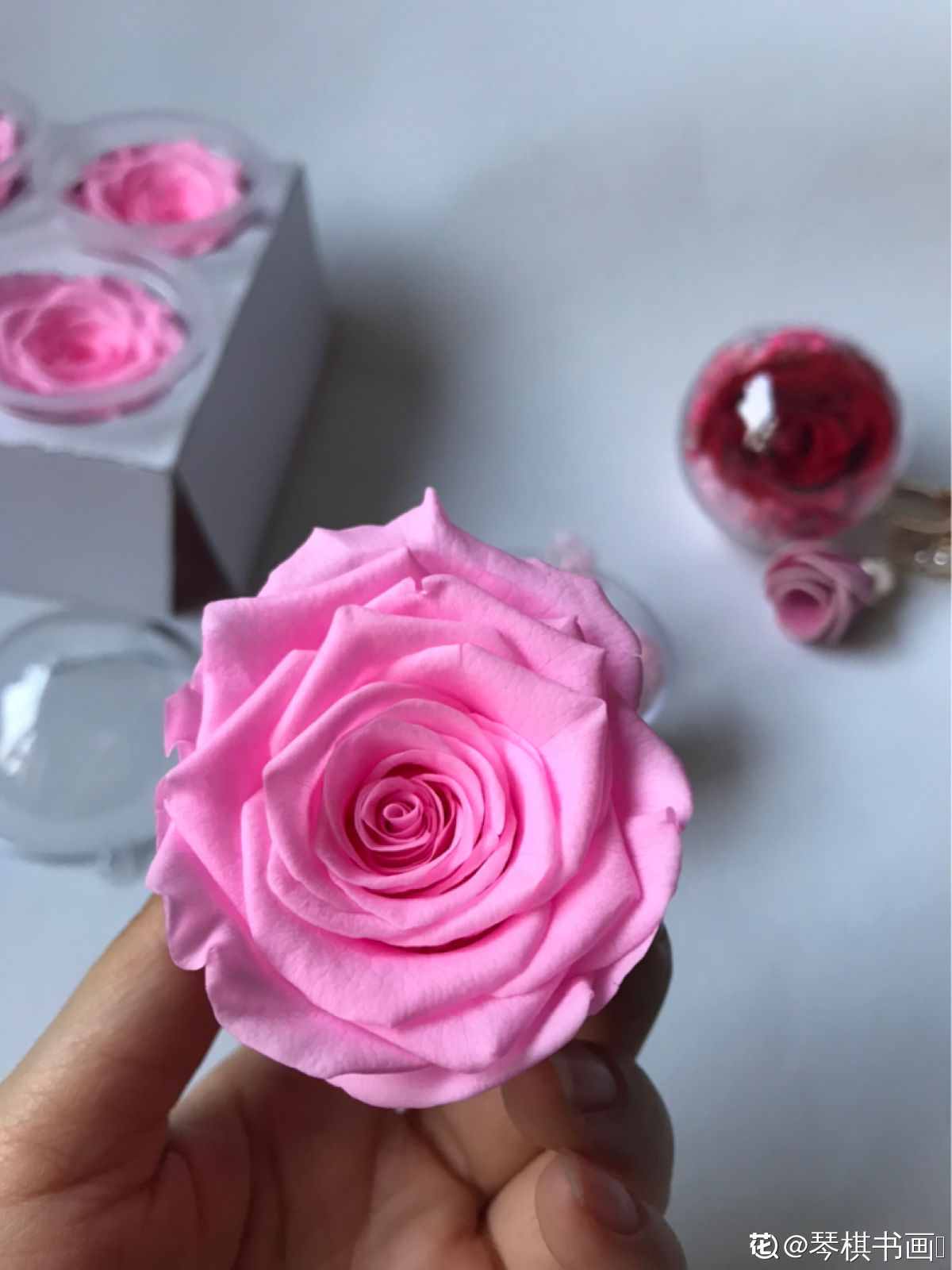 想要花期永駐？干花的制作方法，必須要掌握
