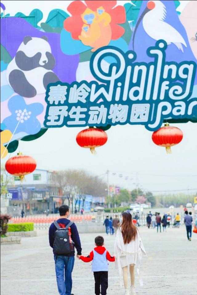 芳菲四月的秦嶺野生動物園，美景中的樂趣堪比我想要的“后花園”