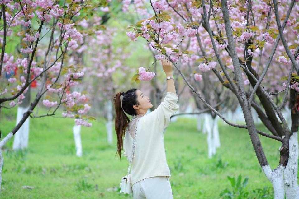 芳菲四月的秦嶺野生動物園，美景中的樂趣堪比我想要的“后花園”