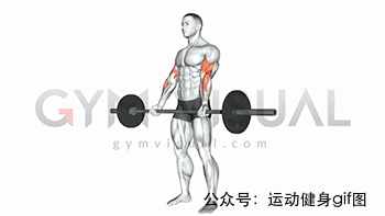 30張肌肉動圖譜告訴你，手臂肌肉怎么練