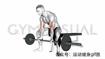 30張肌肉動圖譜告訴你，手臂肌肉怎么練