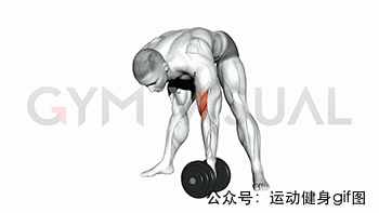30張肌肉動圖譜告訴你，手臂肌肉怎么練