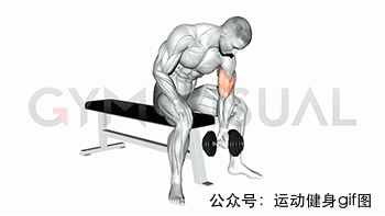 30張肌肉動圖譜告訴你，手臂肌肉怎么練