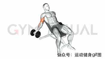 30張肌肉動圖譜告訴你，手臂肌肉怎么練
