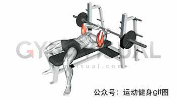 30張肌肉動圖譜告訴你，手臂肌肉怎么練