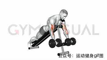 30張肌肉動圖譜告訴你，手臂肌肉怎么練