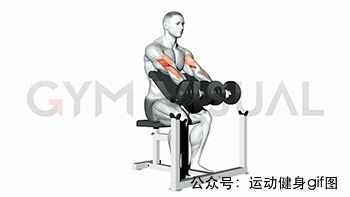 30張肌肉動圖譜告訴你，手臂肌肉怎么練