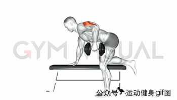 30張肌肉動圖譜告訴你，手臂肌肉怎么練