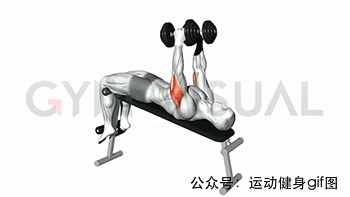 30張肌肉動圖譜告訴你，手臂肌肉怎么練