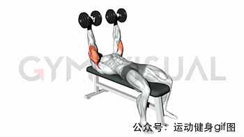 30張肌肉動圖譜告訴你，手臂肌肉怎么練