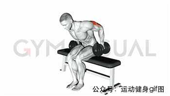 30張肌肉動圖譜告訴你，手臂肌肉怎么練