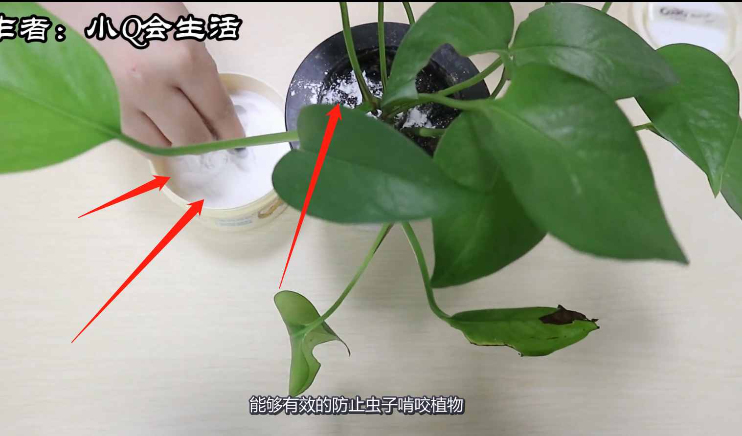才知道爽身粉還有這5大功效，趕緊買(mǎi)一盒放家里備著，人人都需要