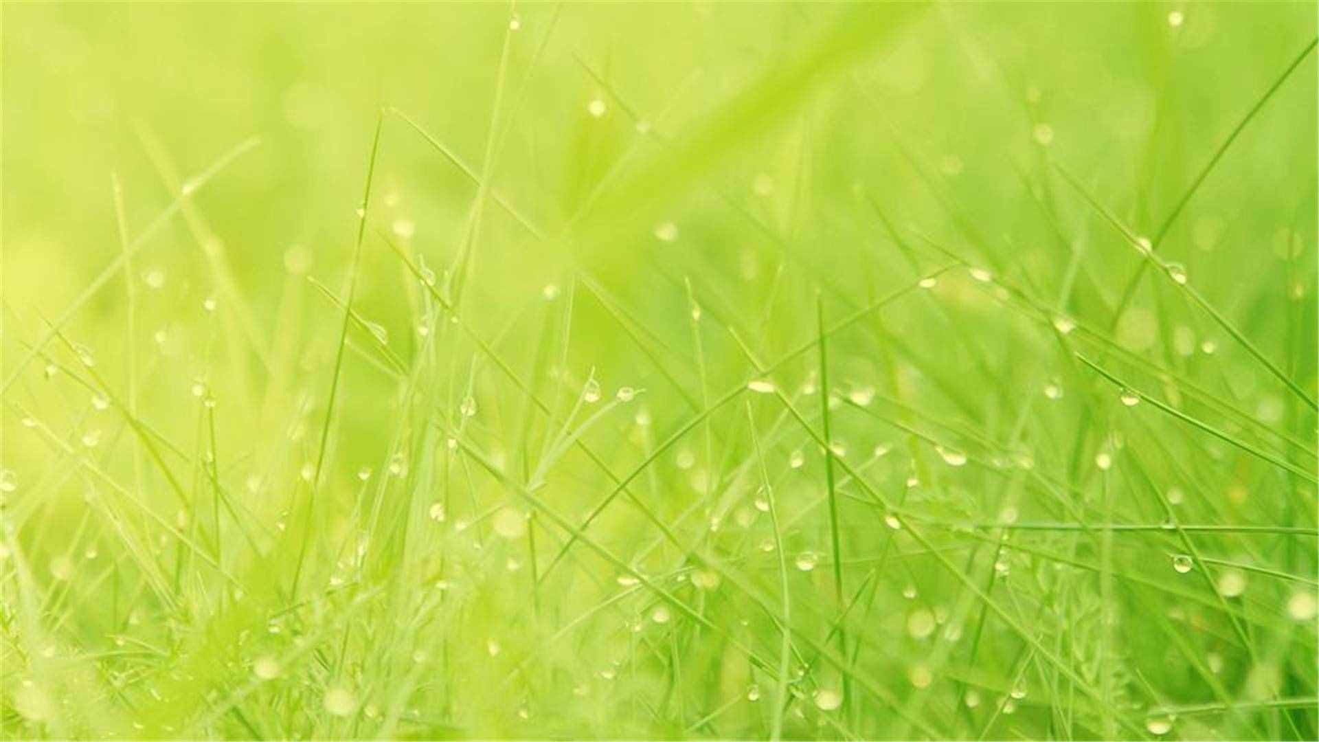 82張護(hù)眼電腦桌面壁紙，超多超全，唯美漂亮