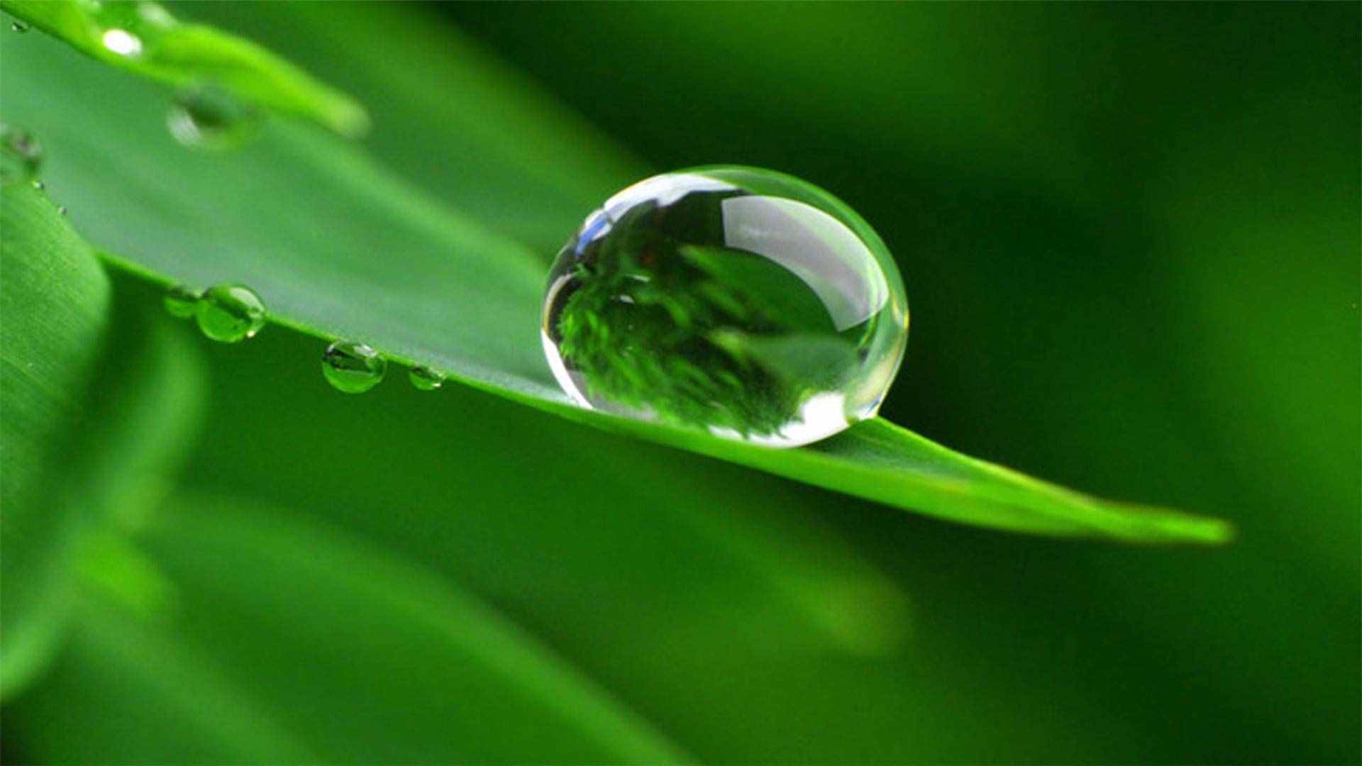 82張護(hù)眼電腦桌面壁紙，超多超全，唯美漂亮