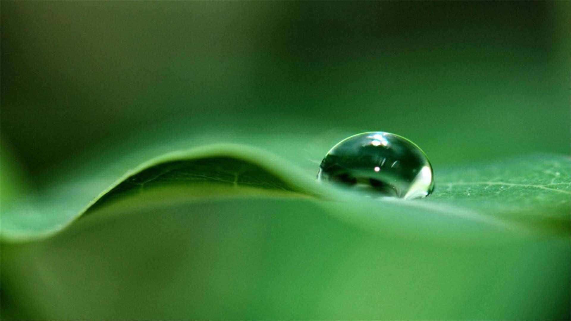 82張護(hù)眼電腦桌面壁紙，超多超全，唯美漂亮