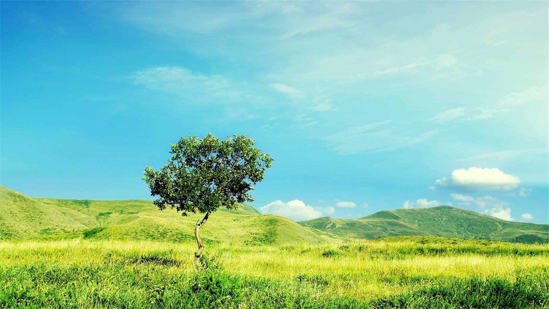 82張護(hù)眼電腦桌面壁紙，超多超全，唯美漂亮