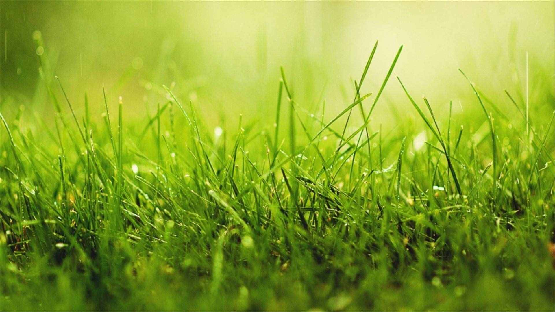 82張護(hù)眼電腦桌面壁紙，超多超全，唯美漂亮