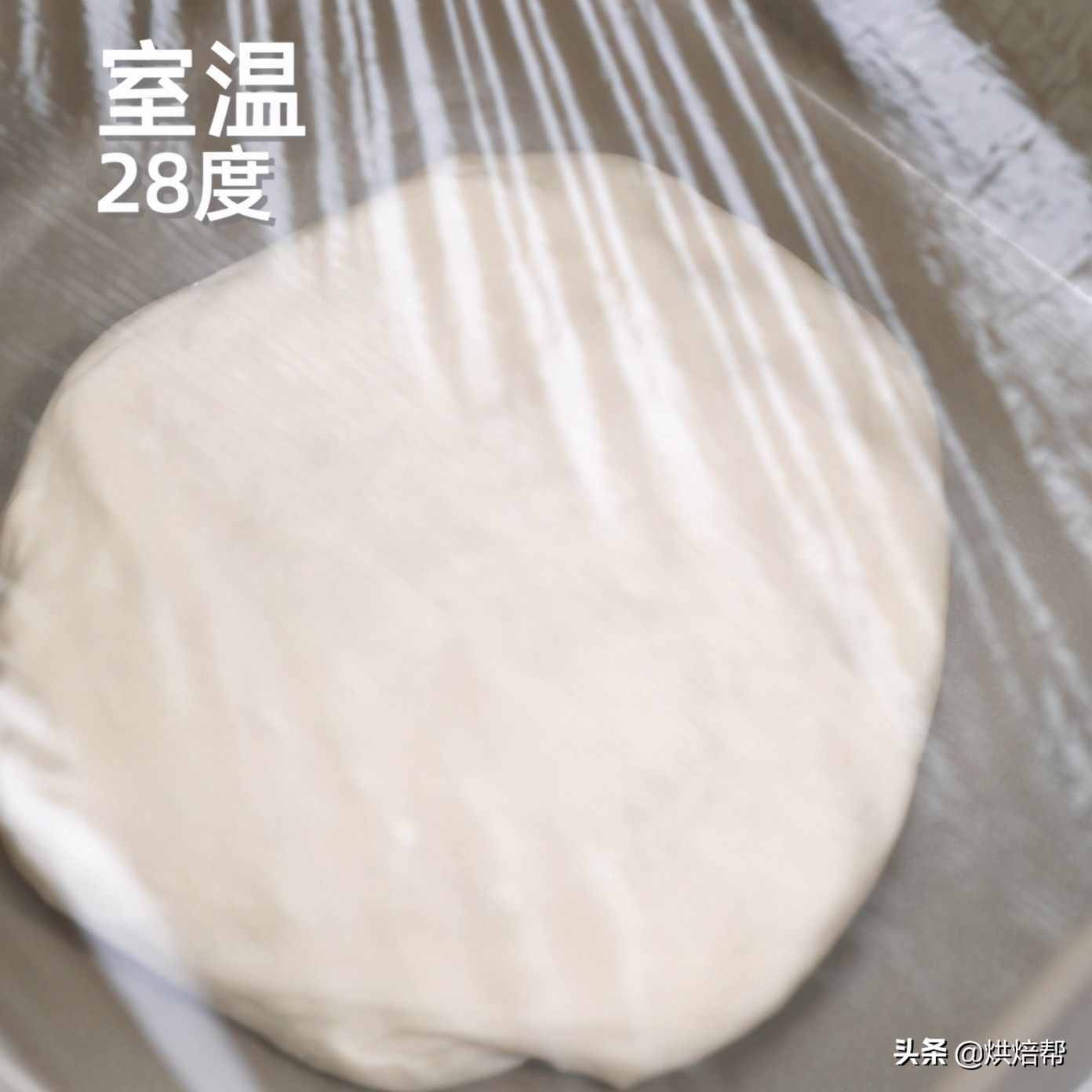 日本超火的“生吐司”是個啥？和普通吐司有啥區(qū)別？漲知識了