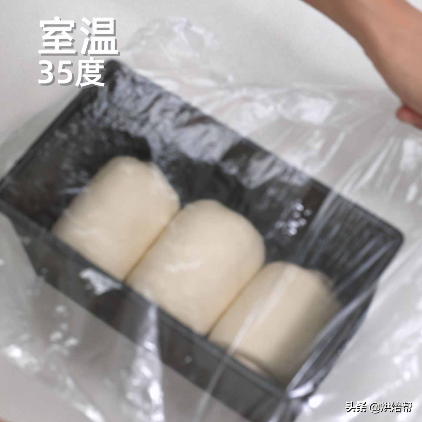 日本超火的“生吐司”是個啥？和普通吐司有啥區(qū)別？漲知識了
