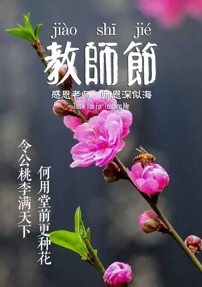 「詩(shī)詞鑒賞」教師節(jié)，那些贊美老師的詩(shī)句