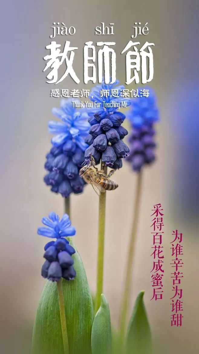 「詩(shī)詞鑒賞」教師節(jié)，那些贊美老師的詩(shī)句