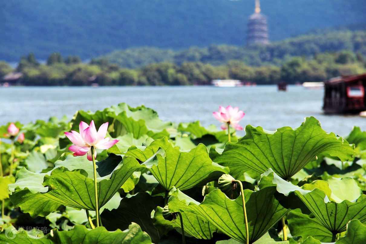 西湖不止杭州有：中國(guó)有36個(gè)西湖，日本越南也有西湖