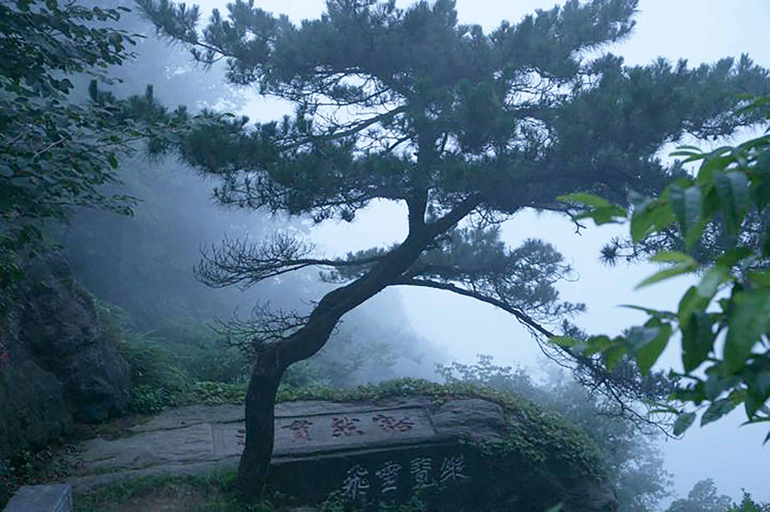 江西廬山，不僅奇秀甲天下，更是一座文化名山