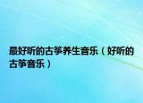 最好聽(tīng)的古箏養(yǎng)生音樂(lè)（好聽(tīng)的古箏音樂(lè)）