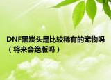 DNF黑炭頭是比較稀有的寵物嗎（將來會(huì)絕版嗎）