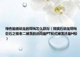 綠色始祖幼龍的韁繩怎么獲得（琉璃石幼龍韁繩巨石之核老二掉落的請(qǐng)問(wèn)是PT模式掉落還是H模）