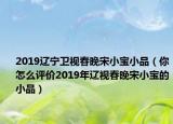 2019遼寧衛(wèi)視春晚宋小寶小品（你怎么評(píng)價(jià)2019年遼視春晚宋小寶的小品）