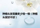 種植頭發(fā)需要多少錢一根（種植頭發(fā)好不好）
