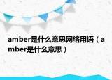 amber是什么意思網(wǎng)絡(luò)用語（amber是什么意思）