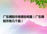 廣東揭陽市有哪些明星（廣東揭陽市有幾個縣）