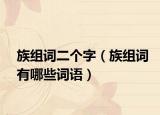 族組詞二個(gè)字（族組詞有哪些詞語(yǔ)）